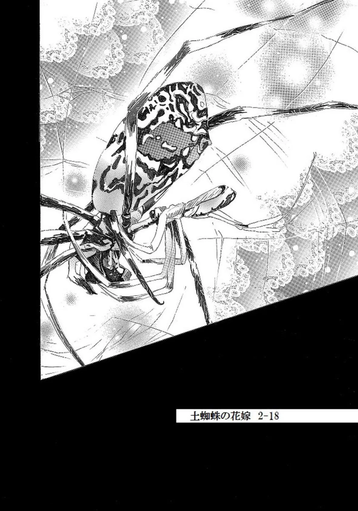 土蜘蛛の花嫁 第二章 2-18 2ページ