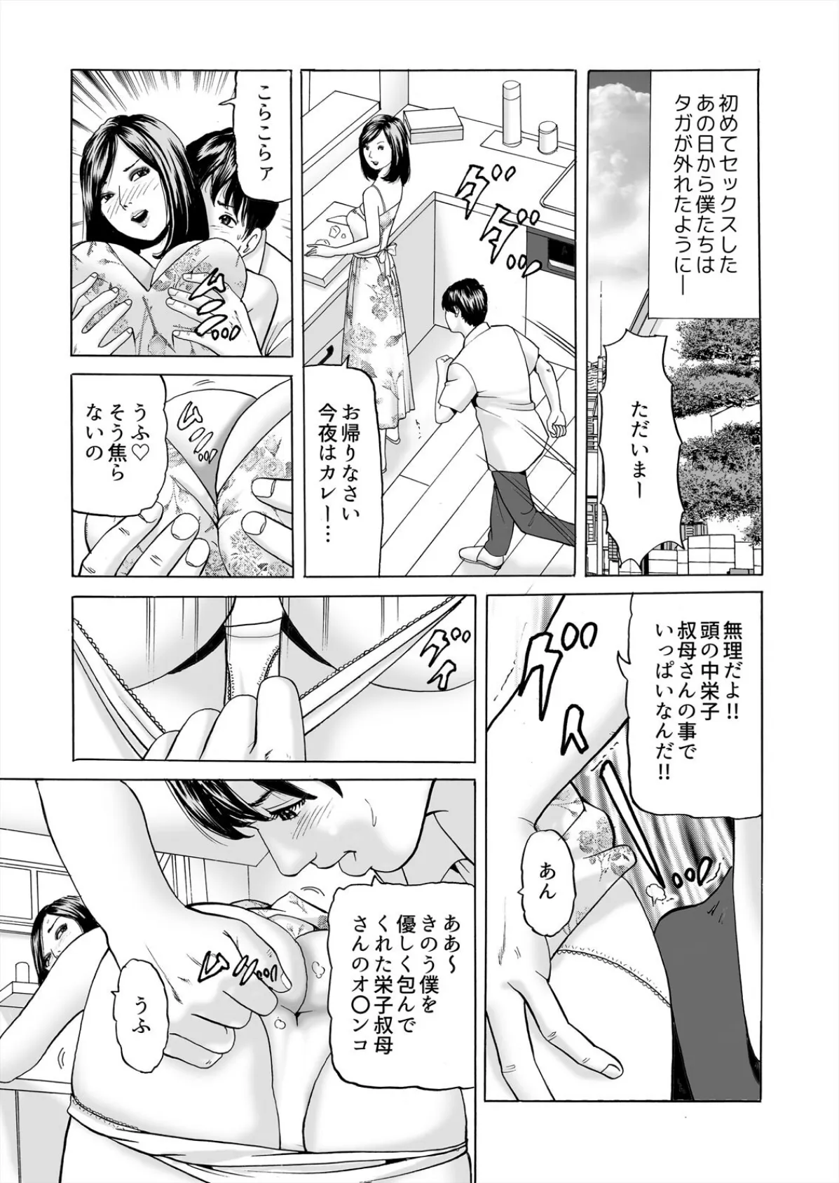 絶対に寝取りたい僕の叔母さん〜14日間の濃密不倫SEX(2) 3ページ