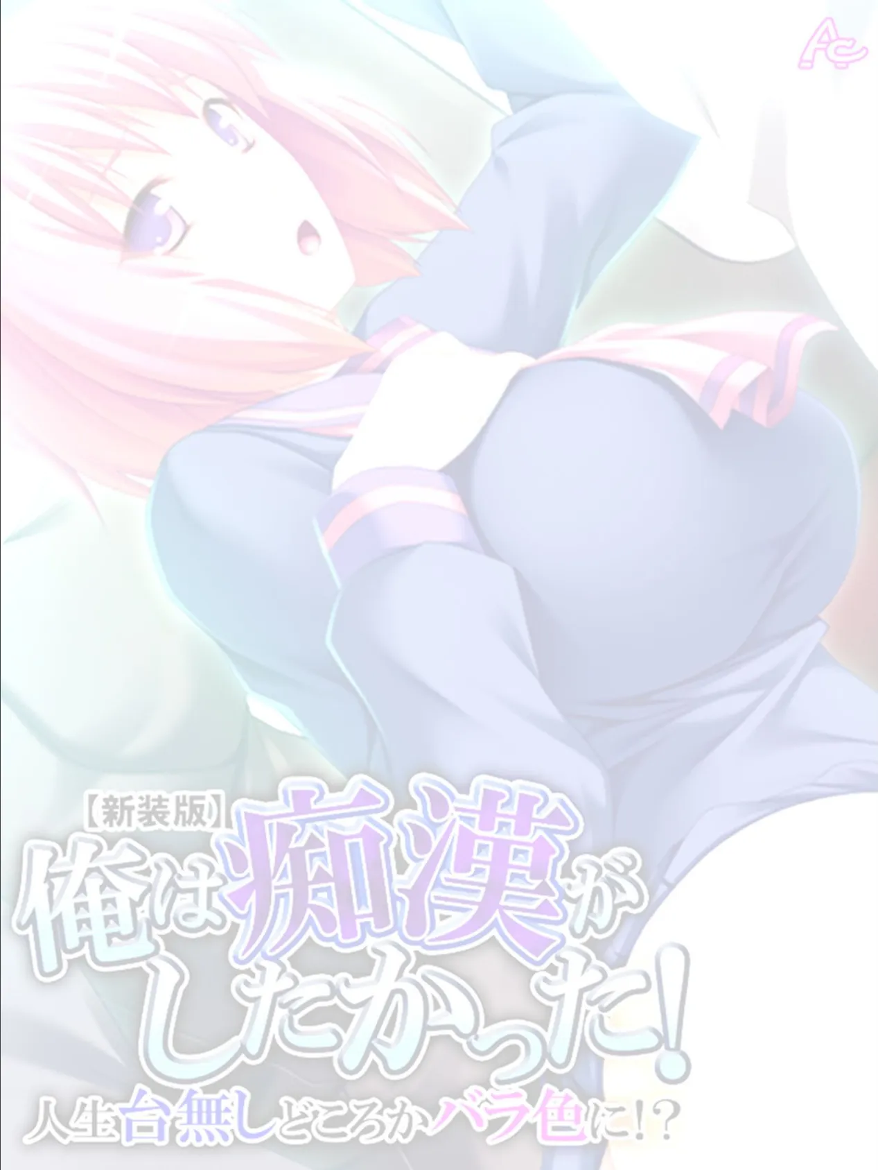 【新装版】俺は痴●がしたかった! 〜人生台無しどころかバラ色に!?〜 (単話) 最終話 2ページ