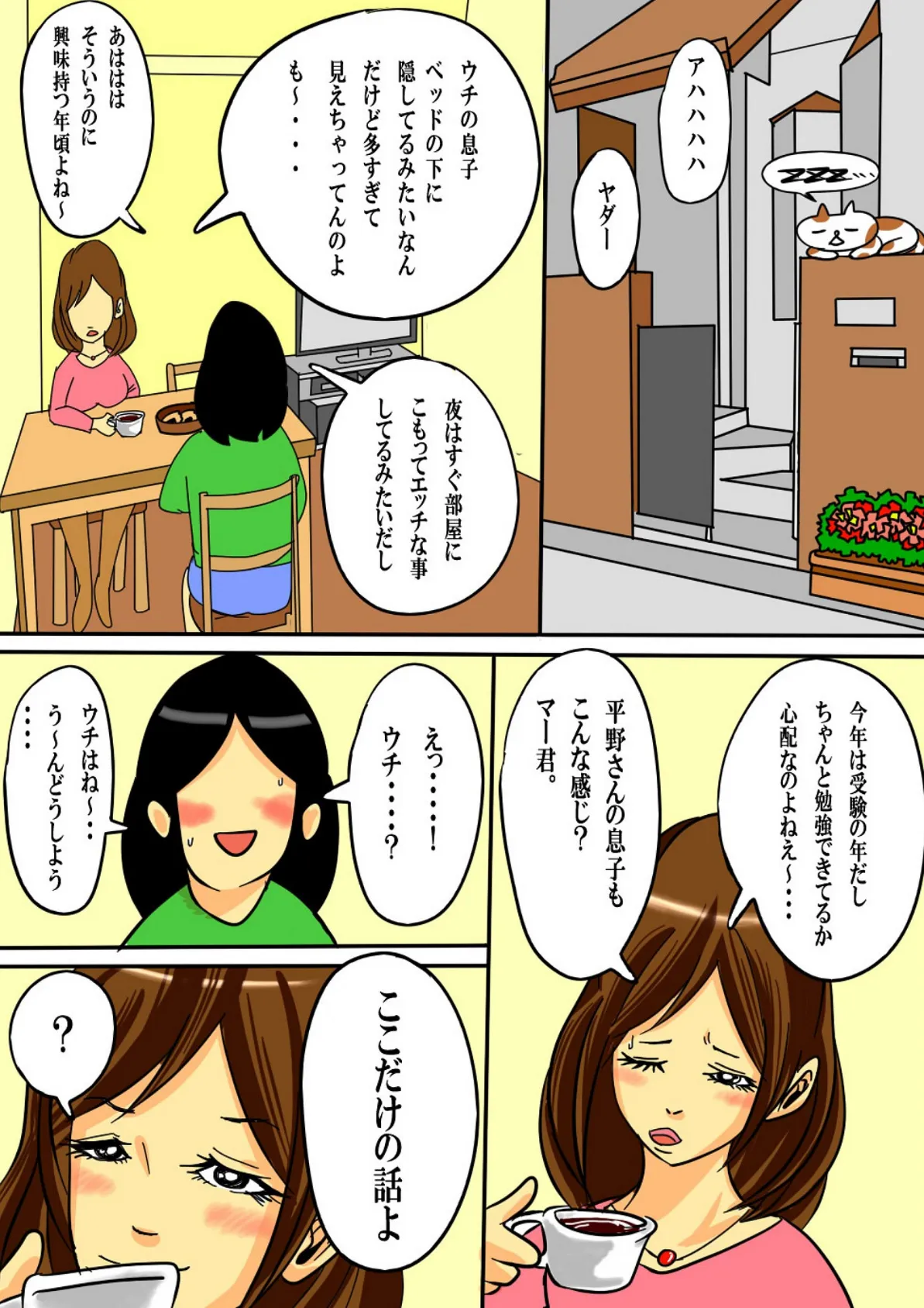 毎朝、お母さんで性欲処理! 2 7ページ