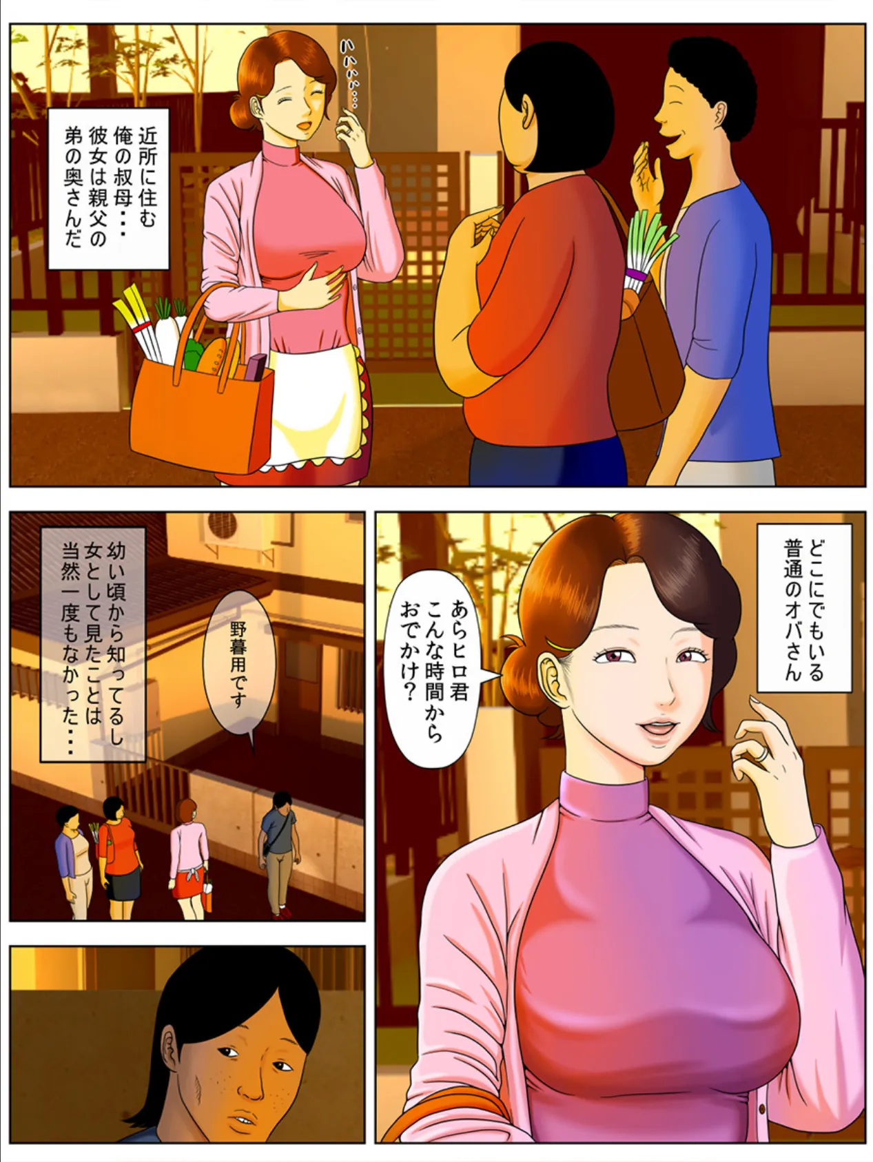 妻を風俗嬢にしてはならないこれだけの理由(フルカラー) 1 3ページ