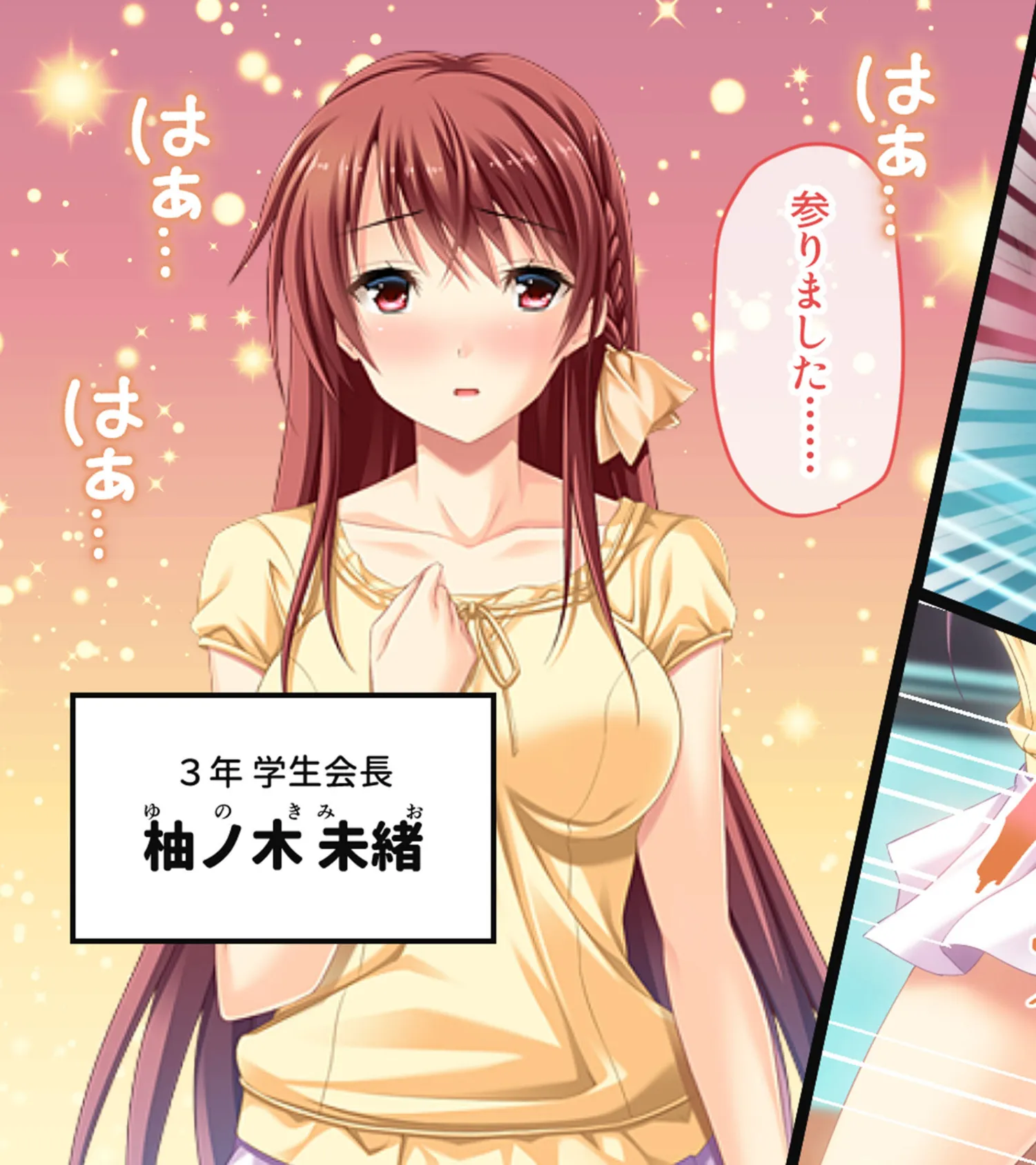 虜ノ鎖 〜処女たちを穢す淫らな楔〜 CGノベル版 モザイク版 総集編 13ページ