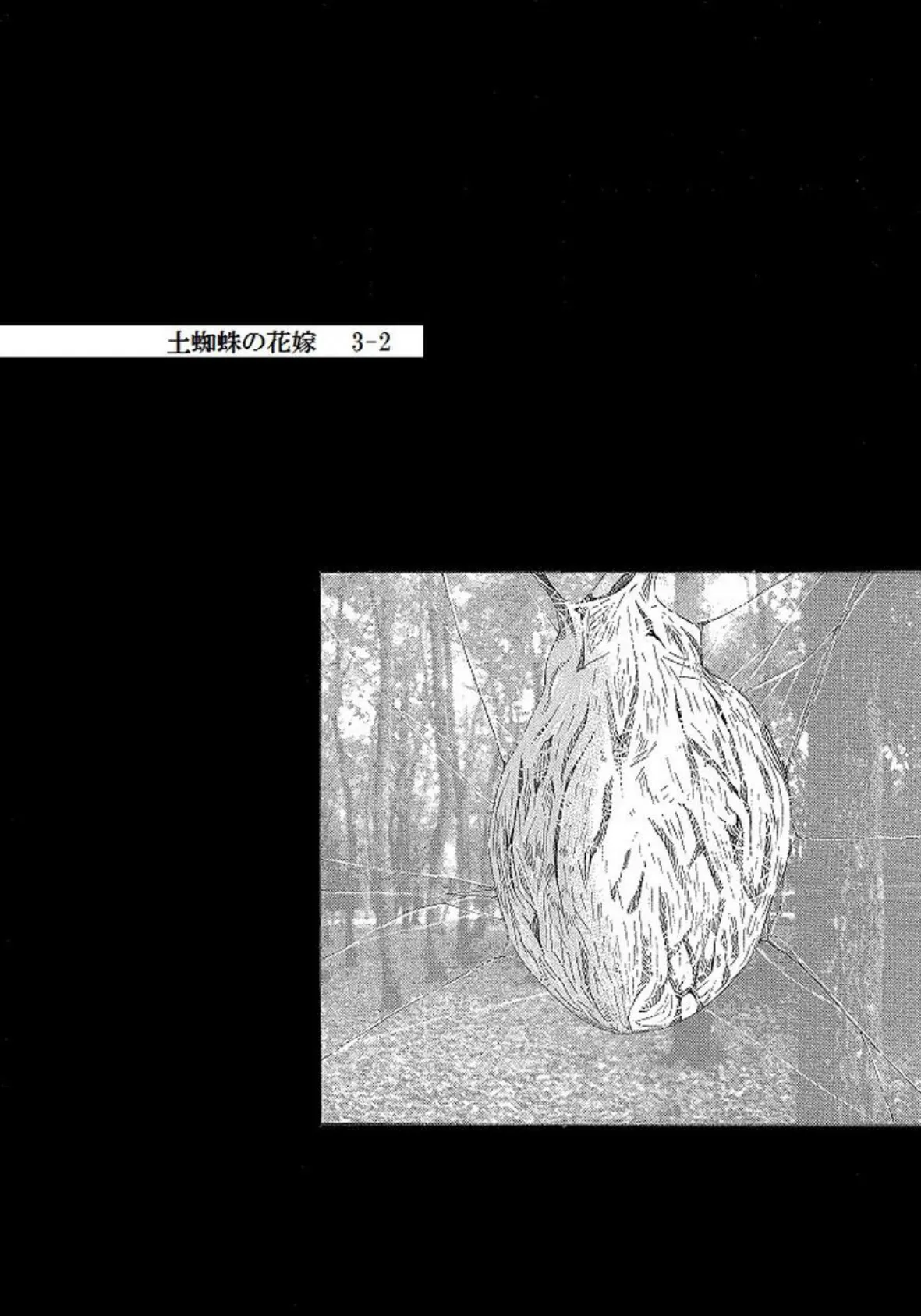 土蜘蛛の花嫁 第三章 3-2 2ページ