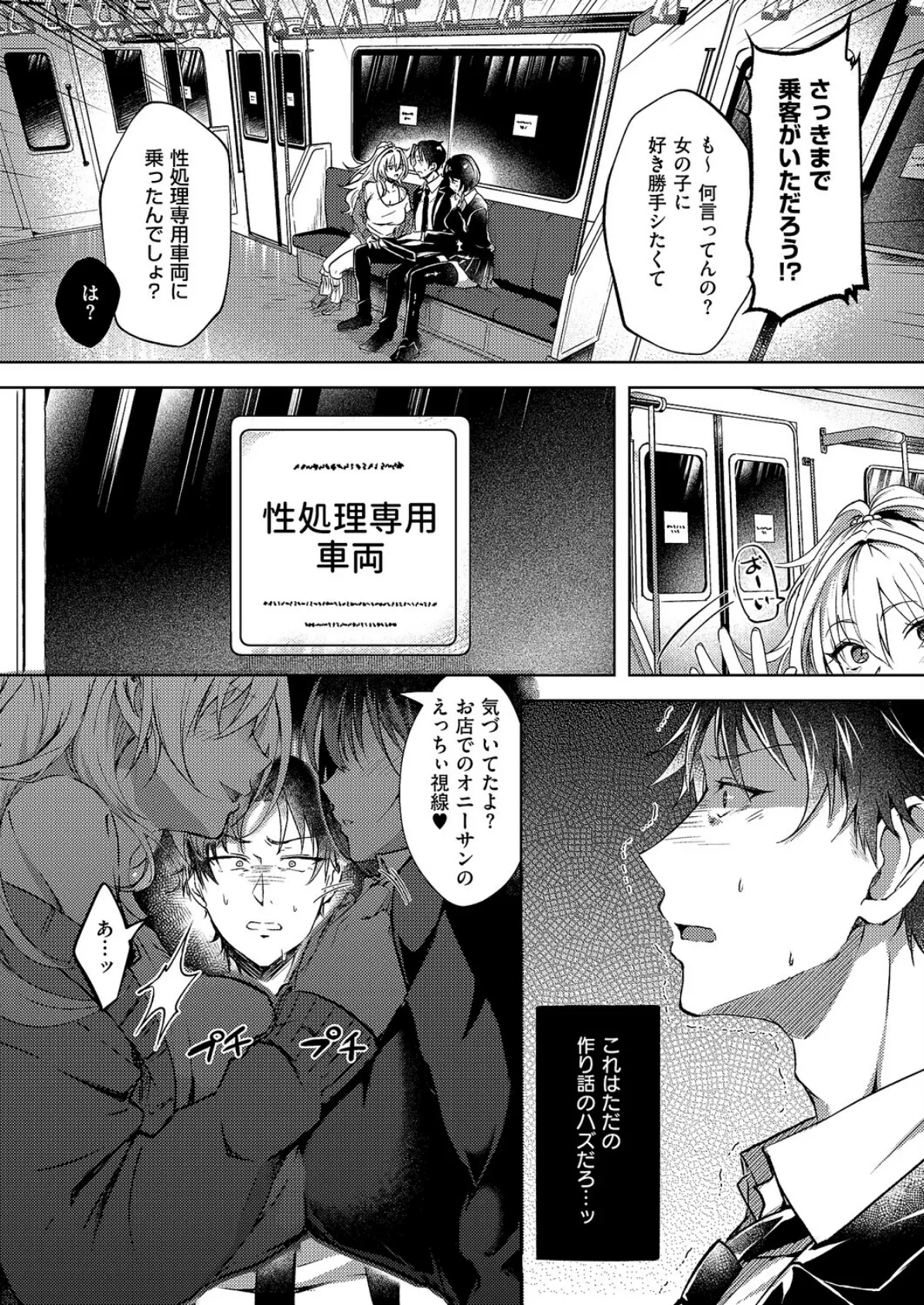 性処理専用車両 6ページ