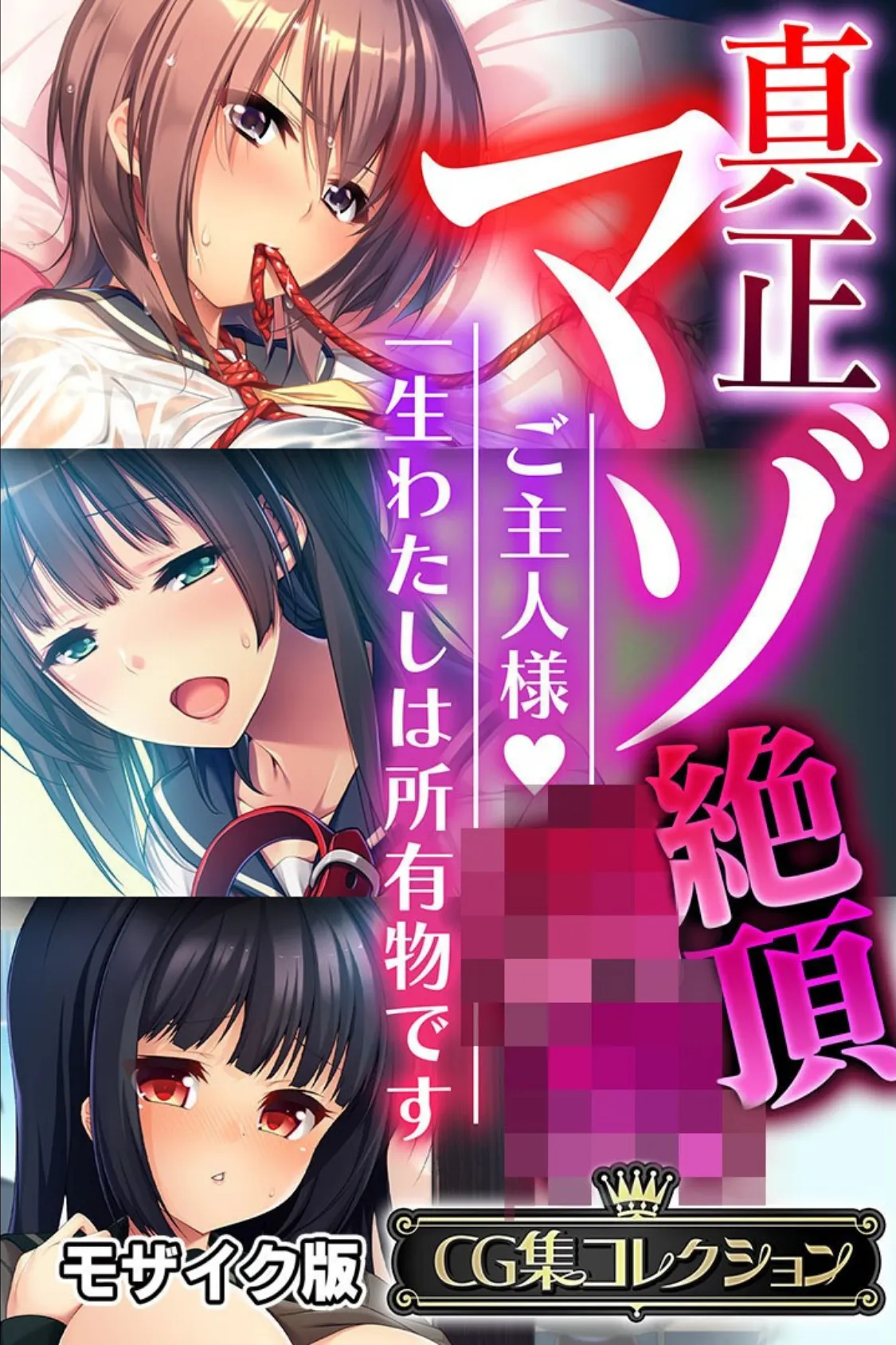 真正マゾ絶頂●● 〜ご主人様 一生わたしは所有物です〜【CG集コレクション】 モザイク版