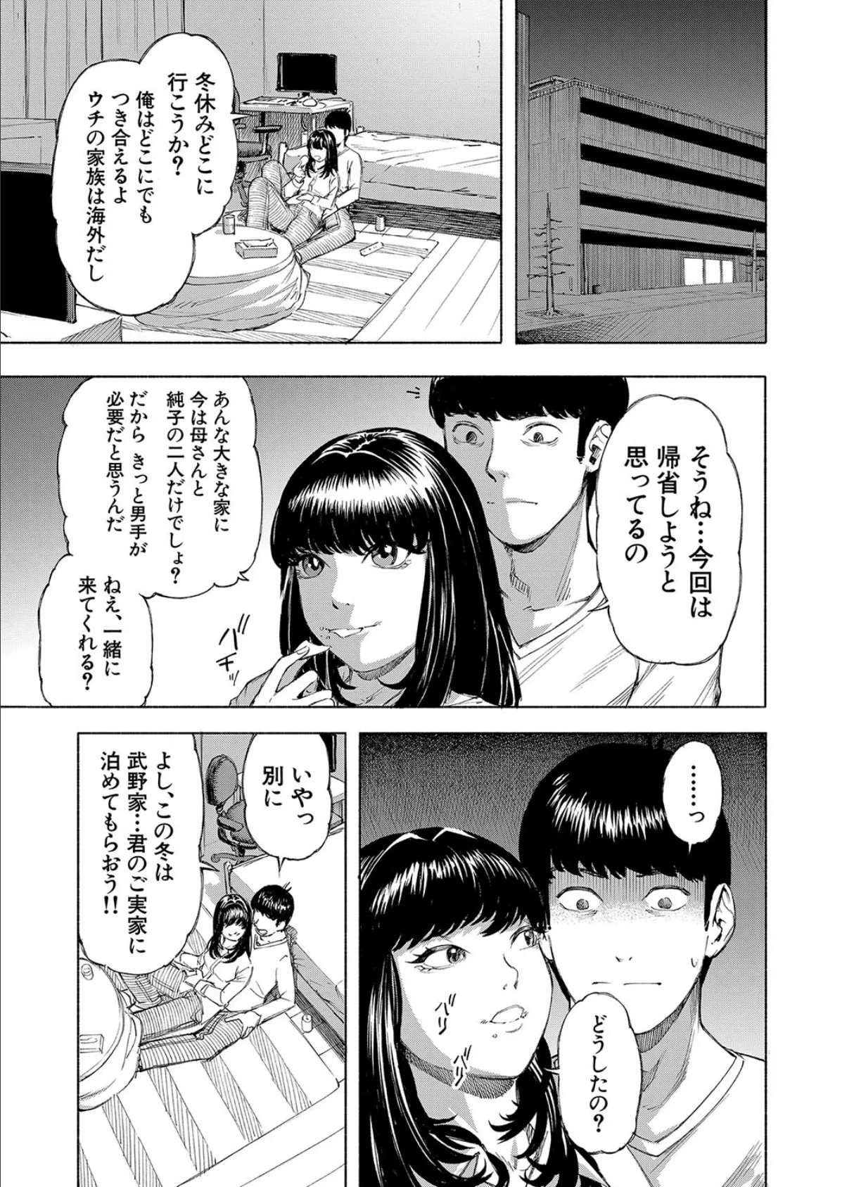 武野家の謎 （ディングル）
